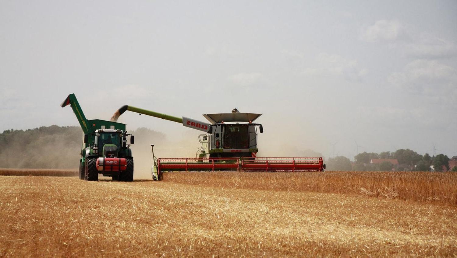 a farming field